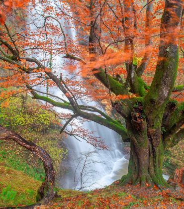 Otoño en País Vasco: los bosques más bonitos que tienes que visitar