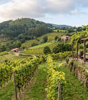 Los colores del txakoli: por qué el otoño es el secreto mejor guardado de Bakio 